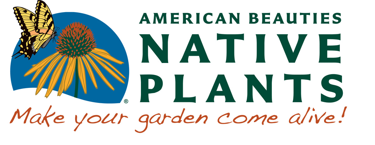 American Beauties Native Plants logo