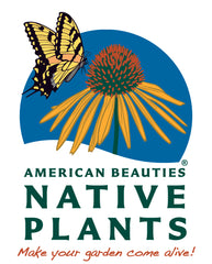 American Beauties Native Plants