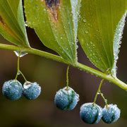 Image Credit: Adobe Stock Images