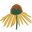 American Beauties Native Plants logo